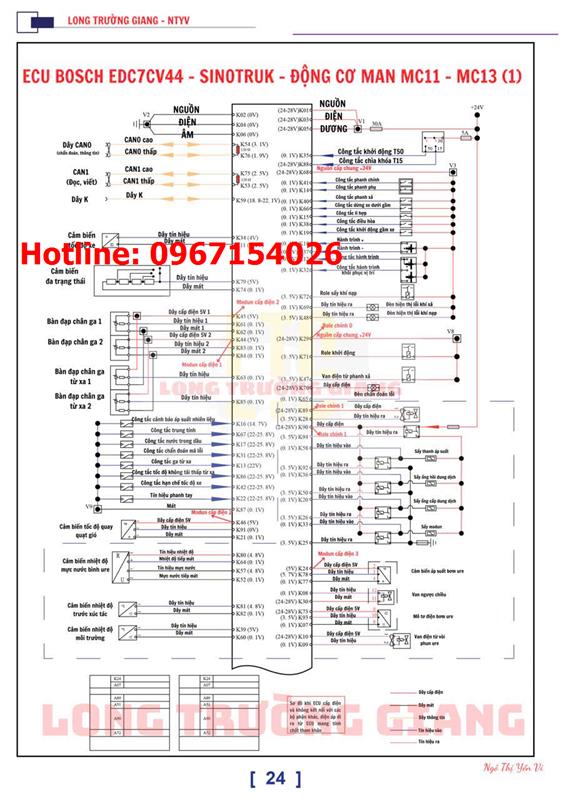 Đào tạo đặc biệt, duy nhất chỉ có tại Long Trường Giang