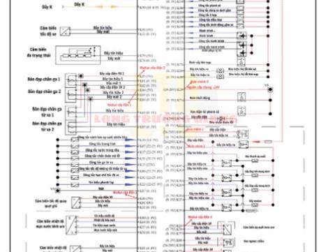 Đào tạo đặc biệt, duy nhất chỉ có tại Long Trường Giang